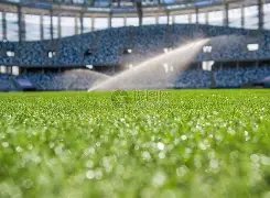 北愛爾蘭,奧尼爾未戰,先敗,开云体育官网,开云体育App,开云赛事直播,开云体育代理,开云体育平台