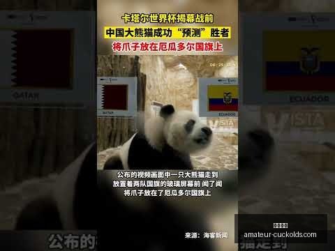 丁俊晖夺国,际锦标赛头,终结五年冠,开云体育官网,开云体育App,开云赛事直播,开云体育代理,开云体育平台